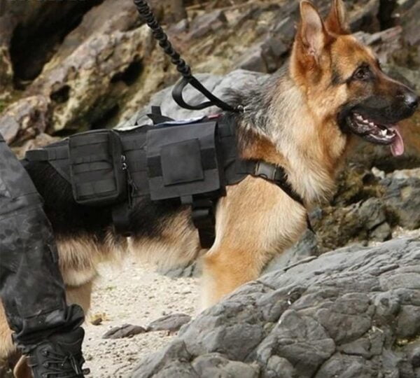 Militair hondentuigje met hondenrugzak