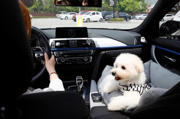 Luxe Autostoel voor honden - Hondenmand in de Auto