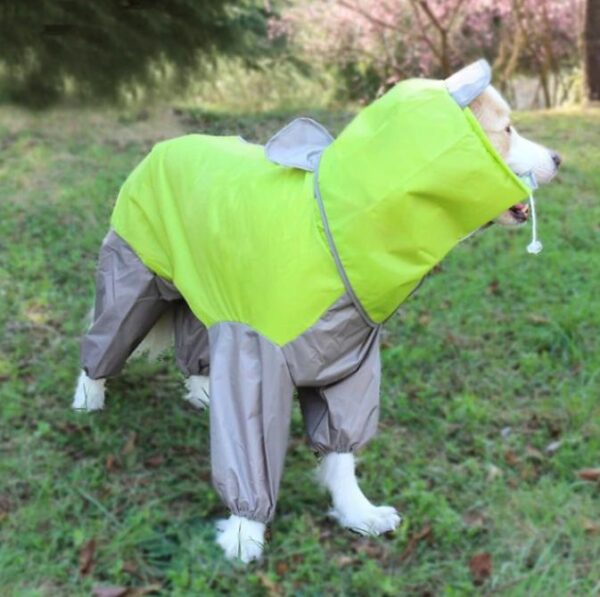Regenpak met Capuchon voor Honden - Beschermt uw hele Dier tegen Regen