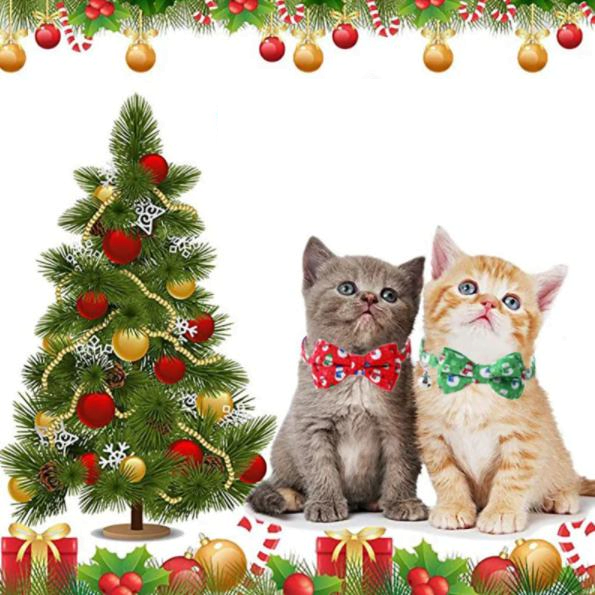 Kerststrik voor Katten en Kleine Honden