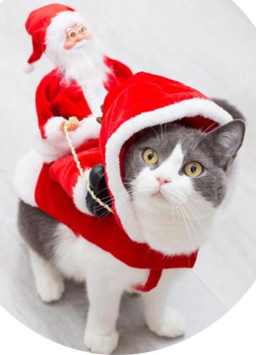 Kerstkostuum voor Honden en Katten met Kerstmanpop - Santa's Reindeer